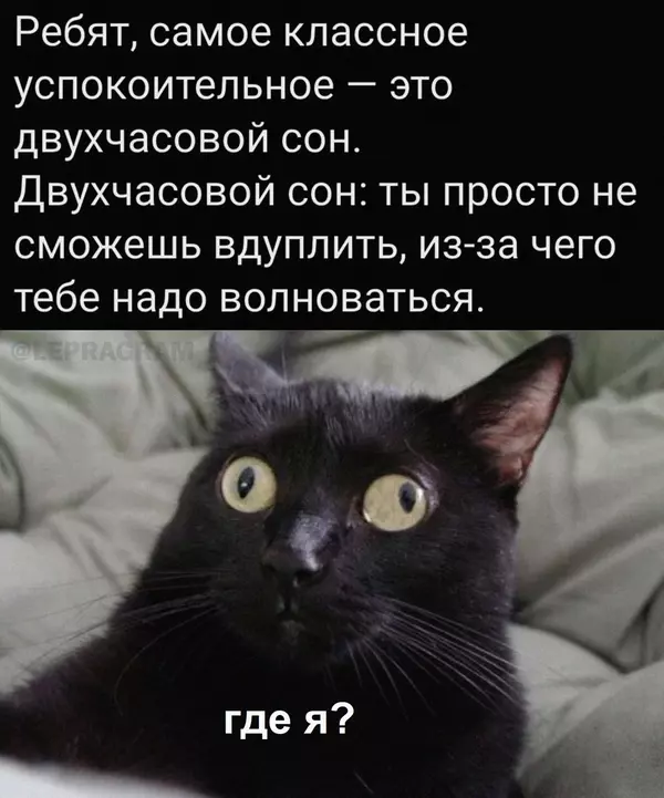 http://upforme.ru/uploads/001b/b1/74/2/t602058.webp