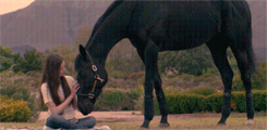 http://upforme.ru/uploads/001b/b1/f8/31/247826.gif