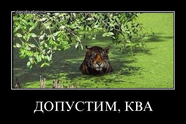 http://upforme.ru/uploads/001b/b3/84/13/678656.png