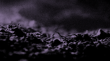 http://upforme.ru/uploads/001b/b3/c9/33/942857.gif