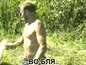 http://upforme.ru/uploads/001b/b5/19/2/t684084.gif