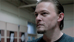 http://upforme.ru/uploads/001b/b5/5c/90/237078.gif