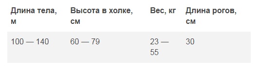 http://upforme.ru/uploads/001b/ba/1d/84/571086.jpg