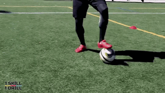 http://upforme.ru/uploads/001b/bd/61/58/573982.gif