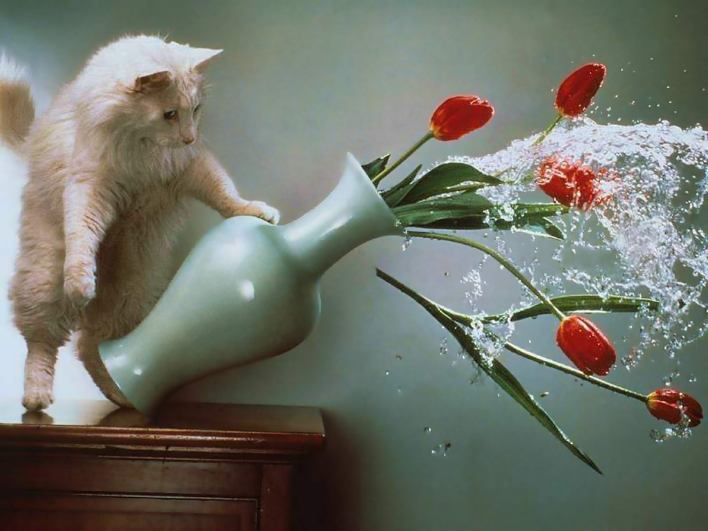 http://upforme.ru/uploads/001b/bf/32/2/351292.jpg