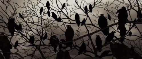 http://upforme.ru/uploads/001b/bf/32/2/647216.gif