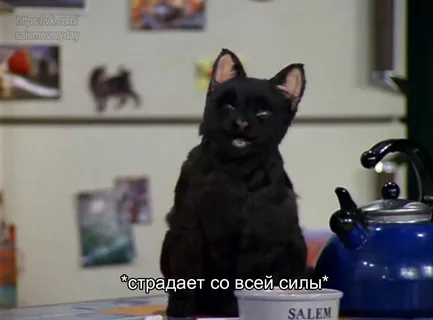http://upforme.ru/uploads/001b/bf/32/24/270333.png