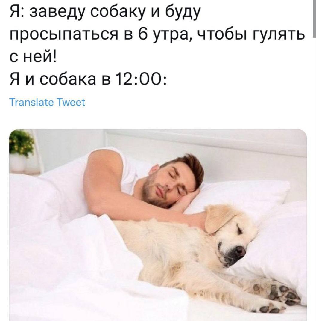 http://upforme.ru/uploads/001b/bf/32/5/601142.jpg