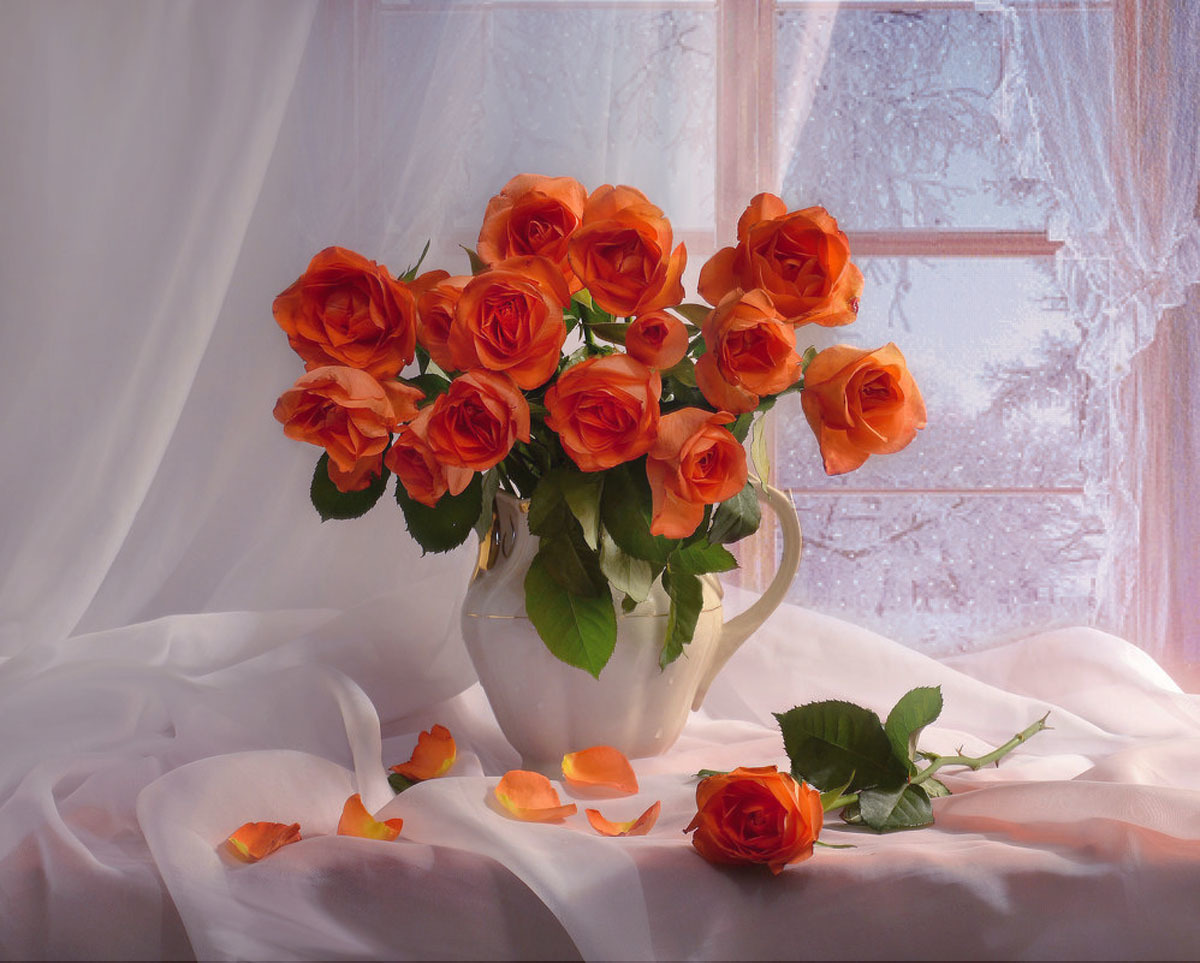 http://upforme.ru/uploads/001b/c2/93/2/729549.jpg