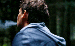 http://upforme.ru/uploads/001b/c5/92/31/131813.gif