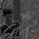 http://upforme.ru/uploads/001b/c6/9c/95/587209.gif