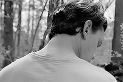 http://upforme.ru/uploads/001b/cb/72/183/642752.gif