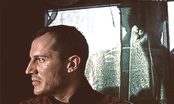 http://upforme.ru/uploads/001b/cb/7d/3/t800416.gif