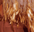 http://upforme.ru/uploads/001b/cd/db/19/t984985.gif