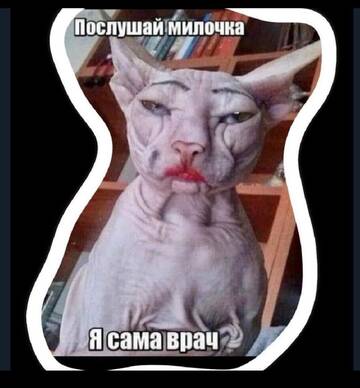 http://upforme.ru/uploads/001b/ce/75/2/t592301.jpg