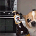 http://upforme.ru/uploads/001b/d0/95/2/336527.gif