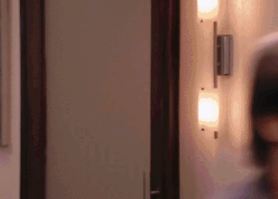 http://upforme.ru/uploads/001b/d3/65/5/t409760.gif