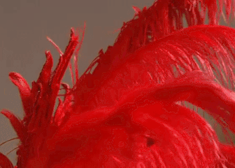 http://upforme.ru/uploads/001b/d3/65/5/t940537.gif