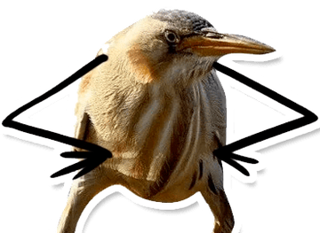 http://upforme.ru/uploads/001b/d3/65/7/t79242.png