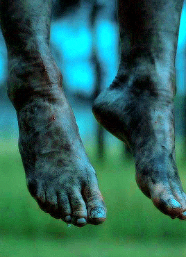 http://upforme.ru/uploads/001b/d3/fd/2/343475.gif