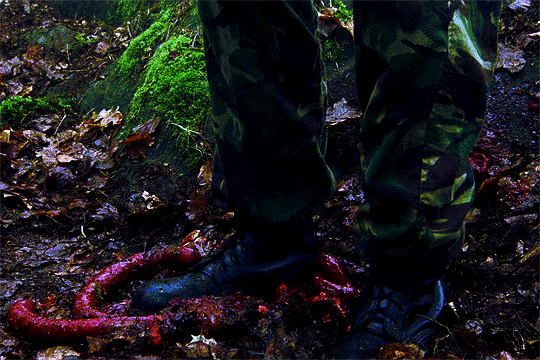 http://upforme.ru/uploads/001b/d3/fd/2/597844.gif