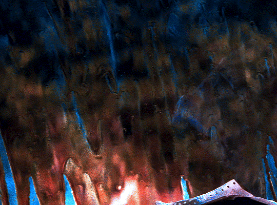 http://upforme.ru/uploads/001b/d3/fd/2/700187.gif