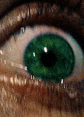 http://upforme.ru/uploads/001b/d3/fd/2/809036.gif