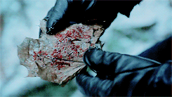 http://upforme.ru/uploads/001b/d3/fd/2/917586.gif