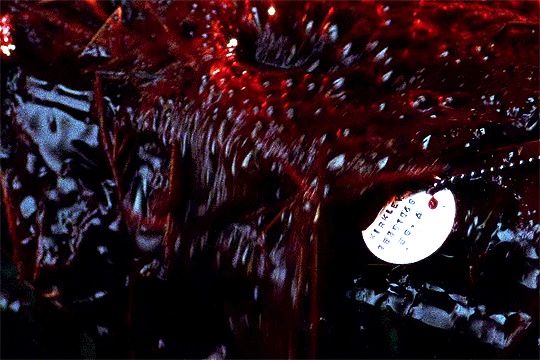 http://upforme.ru/uploads/001b/d3/fd/2/96898.gif