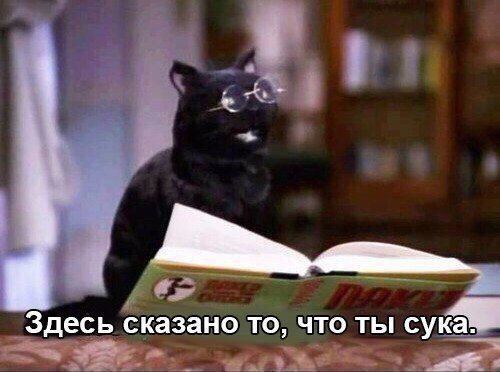 http://upforme.ru/uploads/001b/d4/03/56/78042.jpg