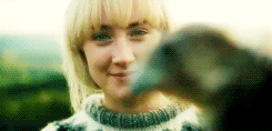 http://upforme.ru/uploads/001b/d5/3f/8/807236.gif