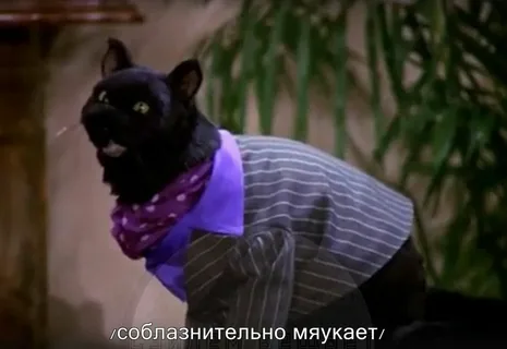 http://upforme.ru/uploads/001b/d7/50/15/16780.png