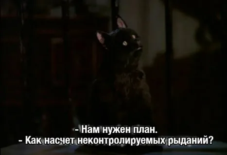 http://upforme.ru/uploads/001b/d7/50/15/378921.png