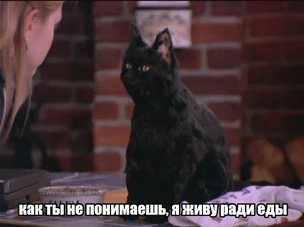 http://upforme.ru/uploads/001b/d7/50/15/579766.png