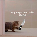 http://upforme.ru/uploads/001b/d7/50/25/249865.png