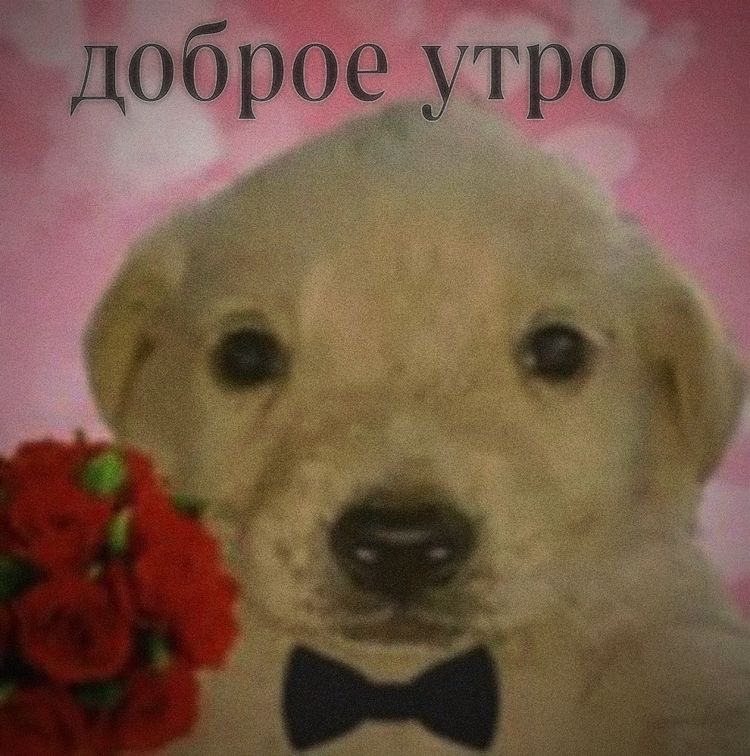 http://upforme.ru/uploads/001b/d7/50/8/477901.jpg