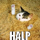 http://upforme.ru/uploads/001b/da/22/21/199767.png