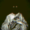 http://upforme.ru/uploads/001b/da/cb/280/234154.gif