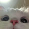 http://upforme.ru/uploads/001b/db/9c/2/442175.png