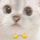 http://upforme.ru/uploads/001b/db/9c/2/746400.png
