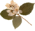 http://upforme.ru/uploads/001b/dc/31/7/434422.png