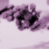 http://upforme.ru/uploads/001b/dc/dc/65/t496490.gif