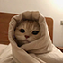 http://upforme.ru/uploads/001b/de/e1/2/564951.png