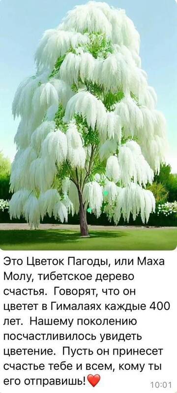 http://upforme.ru/uploads/001b/e5/71/2/t828637.jpg