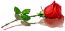 http://upforme.ru/uploads/001b/e5/71/3/118159.gif
