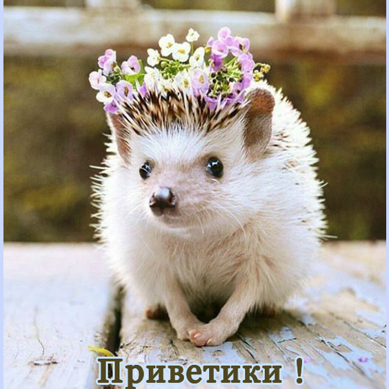 http://upforme.ru/uploads/001b/e5/71/3/149954.jpg