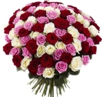 http://upforme.ru/uploads/001b/e5/71/3/180814.jpg
