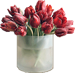 http://upforme.ru/uploads/001b/e5/71/3/219423.gif