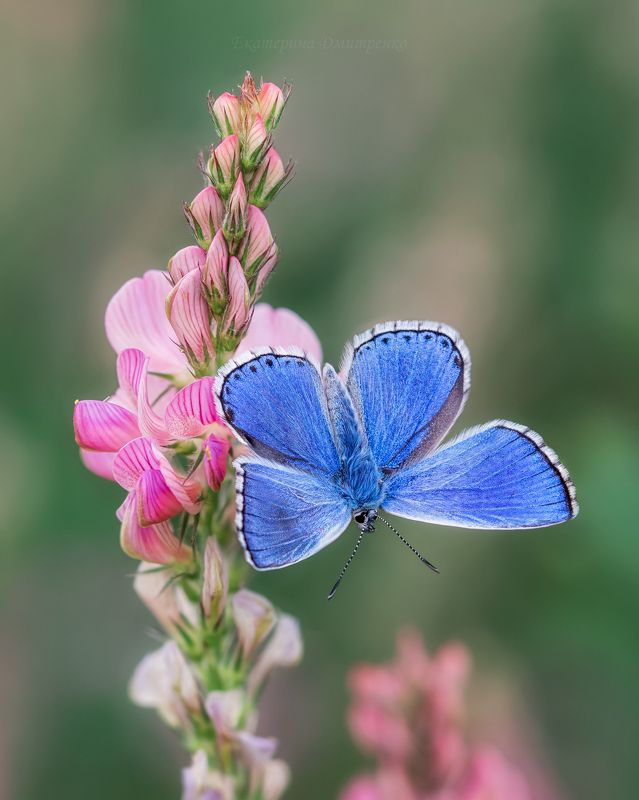 http://upforme.ru/uploads/001b/e5/71/3/288386.jpg