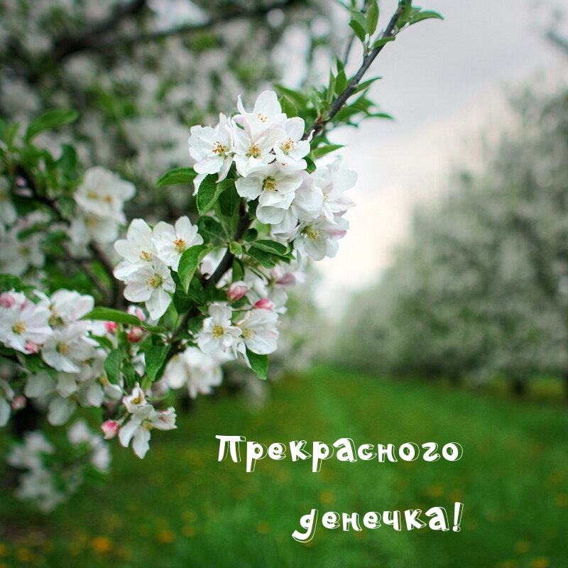 http://upforme.ru/uploads/001b/e5/71/3/551907.jpg